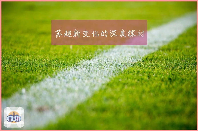 苏超新变化的深度探讨